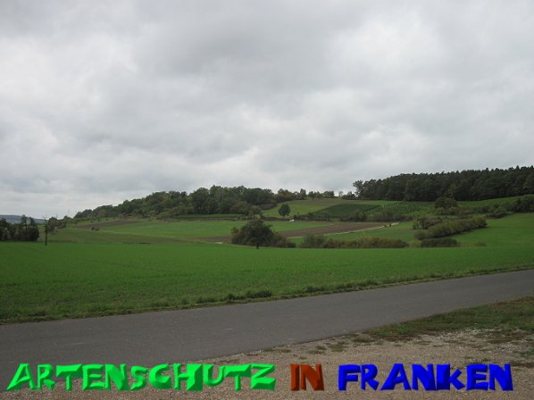 Bild zum Eintrag (50508-160)