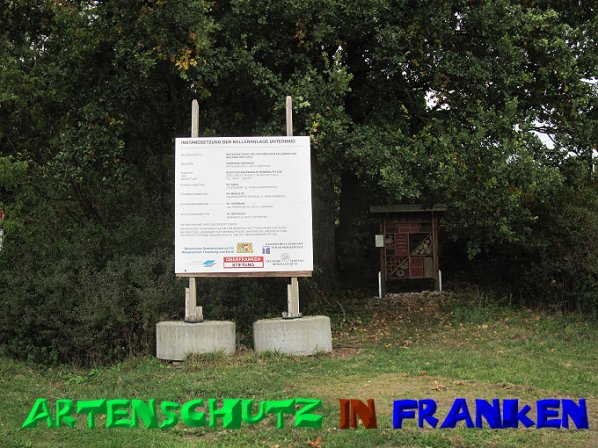 Bild zum Eintrag (50512-160)