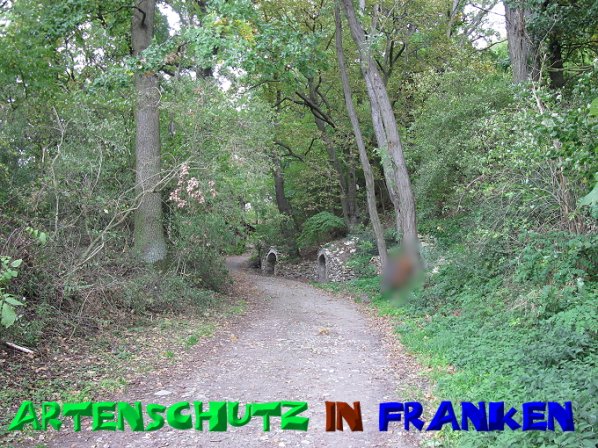 Bild zum Eintrag (50514-160)