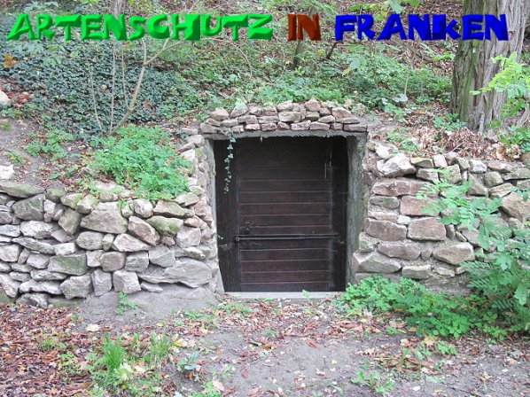 Bild zum Eintrag (50517-160)