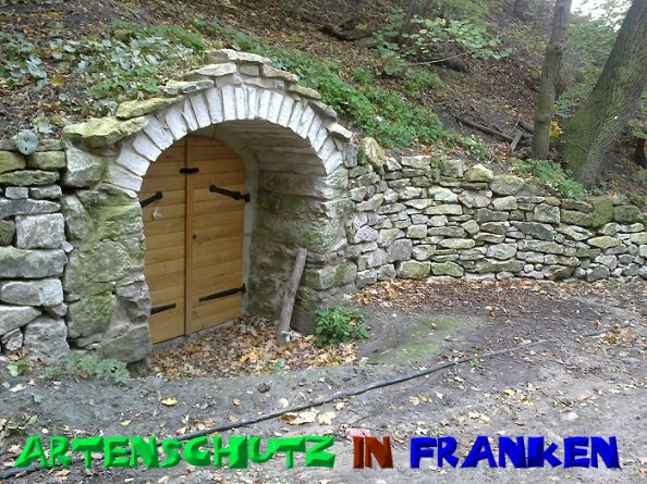 Bild zum Eintrag (50519-160)