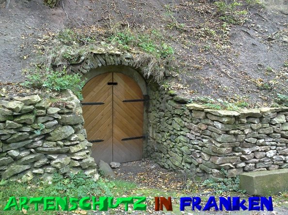 Bild zum Eintrag (50520-160)