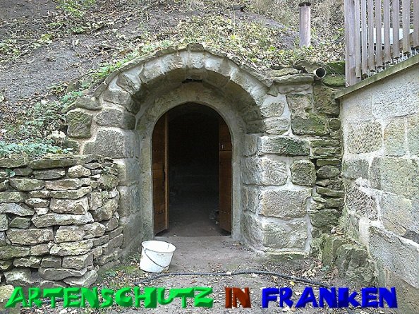 Bild zum Eintrag (50557-160)