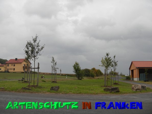 Copyright AiS Janker Bild zum Eintrag (50623-160)