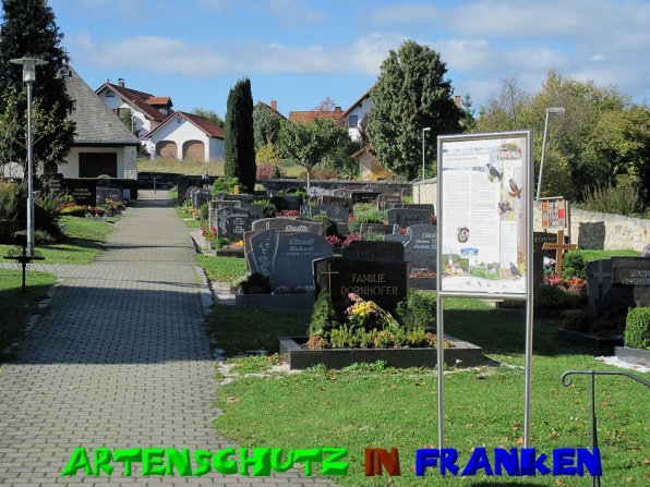 Bild zum Eintrag (50765-160)