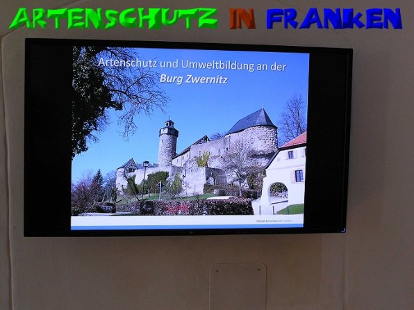 Copyright AiS - Kunze Bild zum Eintrag (50915-160)