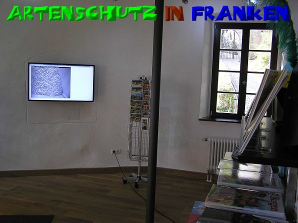 Copyright AiS - Kunze Bild zum Eintrag (50916-160)
