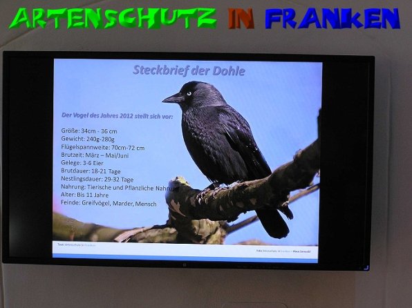 Copyright AiS - Kunze Bild zum Eintrag (50917-160)