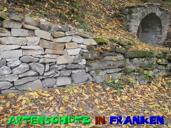 Bild zum Eintrag (51183-160)