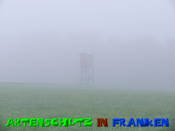 Copyright AiS - Mitterhuber Bild zum Eintrag (51296-160)