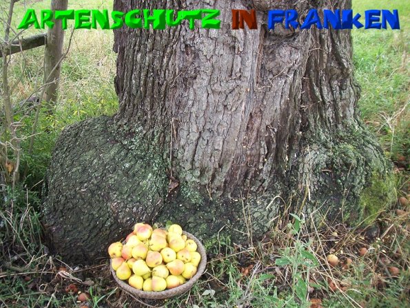 Copyright AiS - Mitterhuber Bild zum Eintrag (51297-160)