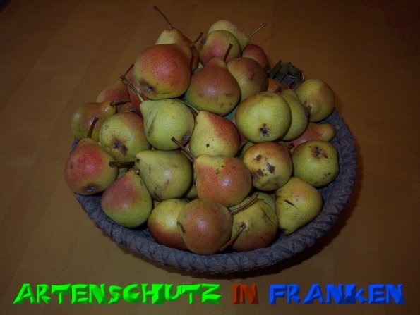 Copyright AiS - Mitterhuber Bild zum Eintrag (51298-160)