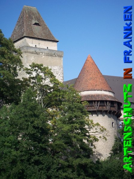 Copyright AiS - Mitterhuber Bild zum Eintrag (51301-160)