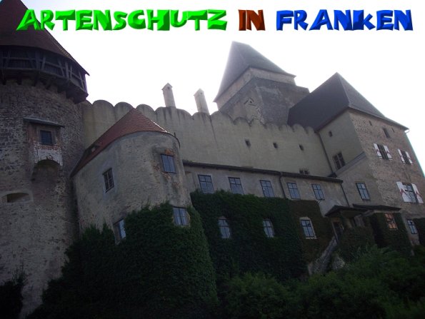 Copyright AiS - Mitterhuber Bild zum Eintrag (51302-160)