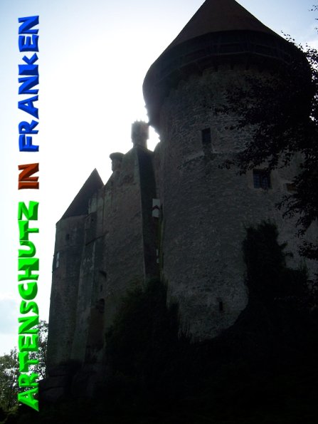 Copyright AiS - Mitterhuber Bild zum Eintrag (51303-160)