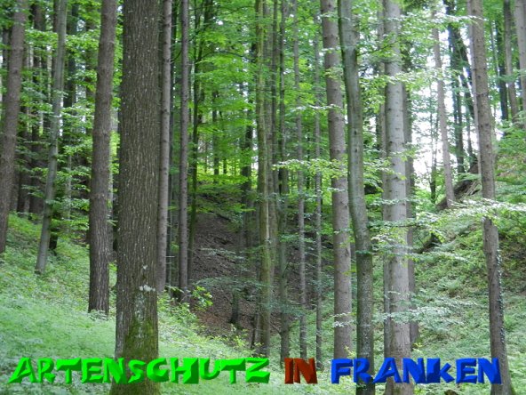 Copyright AiS - Mitterhuber Bild zum Eintrag (51304-160)