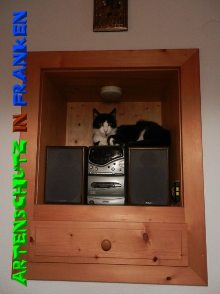 Copyright AiS - Mitterhuber Bild zum Eintrag (51308-160)