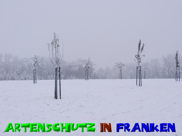Copyright AiS - Mitterhuber Bild zum Eintrag (51373-160)