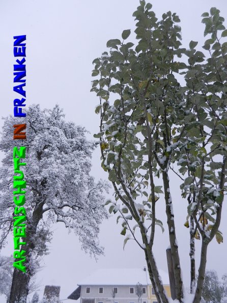 Copyright AiS - Mitterhuber Bild zum Eintrag (51375-160)