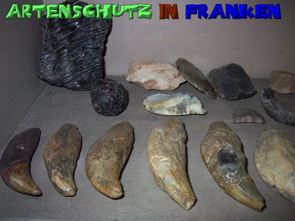Copyright AiS - Mitterhuber Bild zum Eintrag (51539-160)