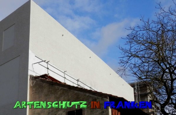 Copyright AiS- Albert Meier Bild zum Eintrag (51595-160)