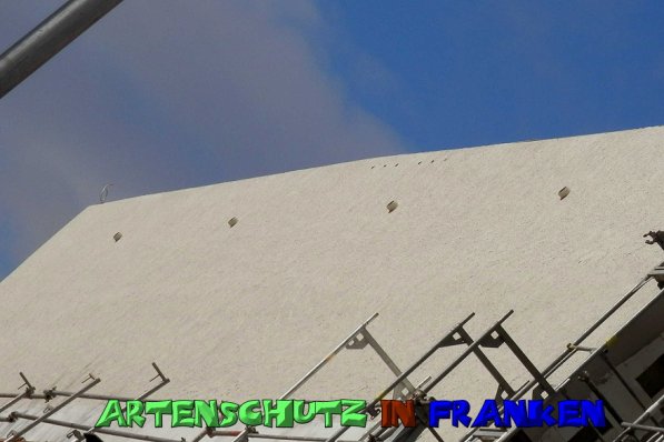 Copyright AiS- Albert Meier Bild zum Eintrag (51596-160)