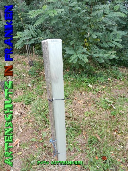 Copyright AiS - Mitterhuber Bild zum Eintrag (51749-160)