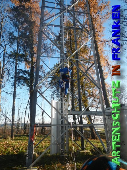 Bild zum Eintrag (52016-160)