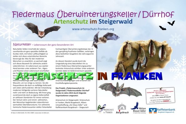 Bild zum Eintrag (52167-160)