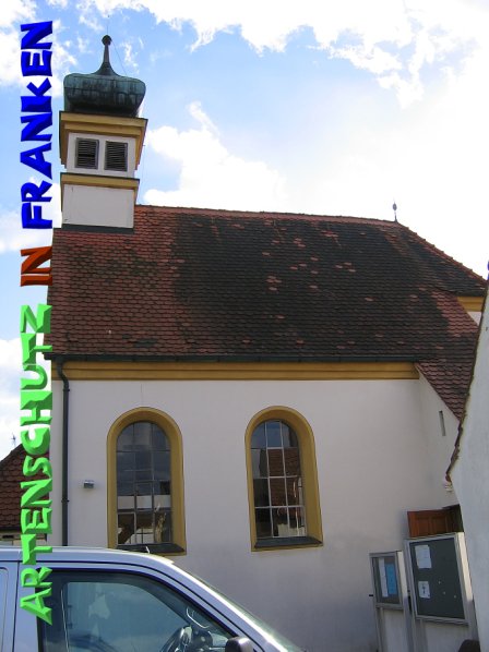 Bild zum Eintrag (52201-160)