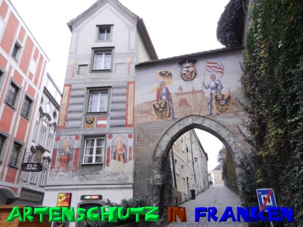 Copyright AiS - Mitterhuber Bild zum Eintrag (52233-160)