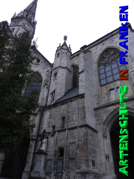Copyright AiS - Mitterhuber Bild zum Eintrag (52234-160)