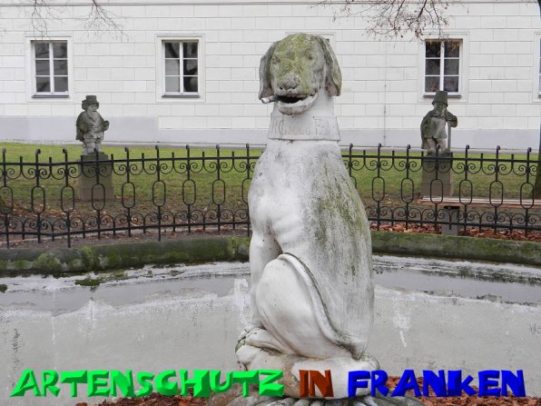 Copyright AiS - Mitterhuber Bild zum Eintrag (52238-160)