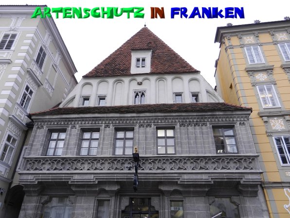 Copyright AiS - Mitterhuber Bild zum Eintrag (52241-160)
