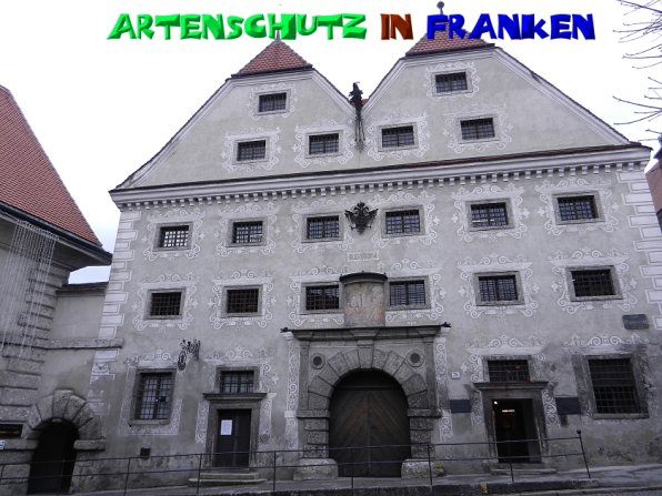 Copyright AiS - Mitterhuber Bild zum Eintrag (52247-160)