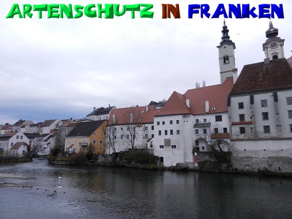 Copyright AiS - Mitterhuber Bild zum Eintrag (52248-160)