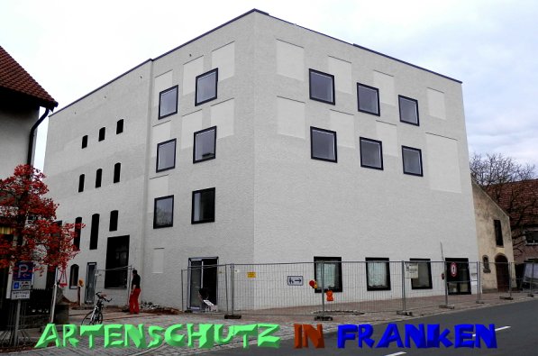 Copyright AiS- Albert Meier Bild zum Eintrag (52293-160)
