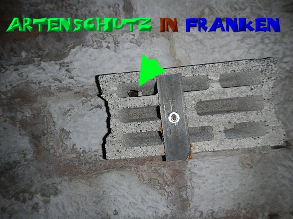 Copyright AiS- A.i.F SPEZ TRACK - SOWARE Bild zum Eintrag (52323-160)