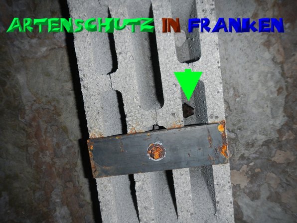 Copyright AiS- A.i.F SPEZ TRACK - SOWARE Bild zum Eintrag (52324-160)
