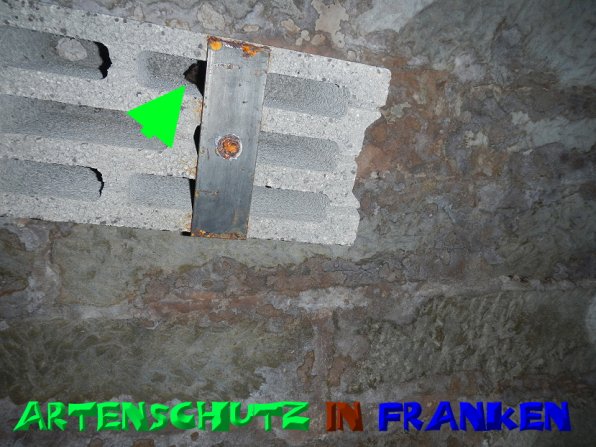 Copyright AiS- A.i.F SPEZ TRACK - SOWARE Bild zum Eintrag (52326-160)