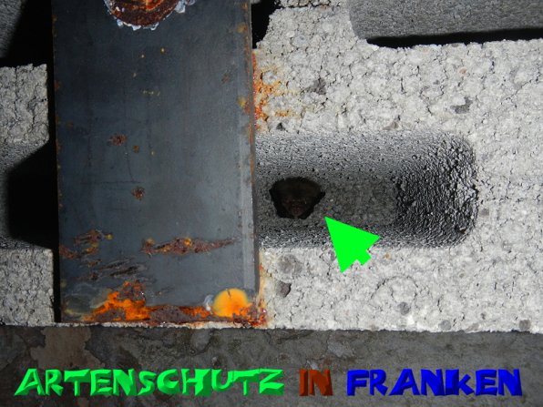 Copyright AiS- A.i.F SPEZ TRACK - SOWARE Bild zum Eintrag (52327-160)
