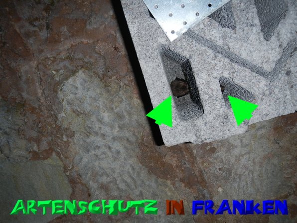 Copyright AiS- A.i.F SPEZ TRACK - SOWARE Bild zum Eintrag (52330-160)