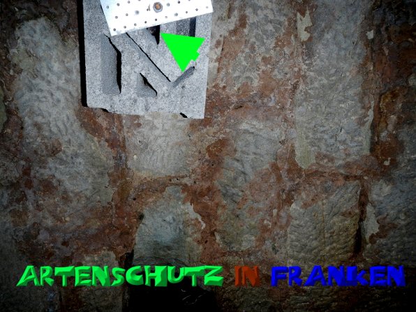 Copyright AiS- A.i.F SPEZ TRACK - SOWARE Bild zum Eintrag (52331-160)