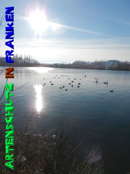 Copyright AiS - Mitterhuber Bild zum Eintrag (52403-160)