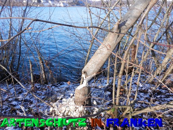 Copyright AiS - Mitterhuber Bild zum Eintrag (52404-160)