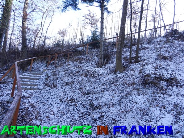 Copyright AiS - Mitterhuber Bild zum Eintrag (52406-160)