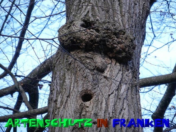 Copyright AiS - Mitterhuber Bild zum Eintrag (52407-160)