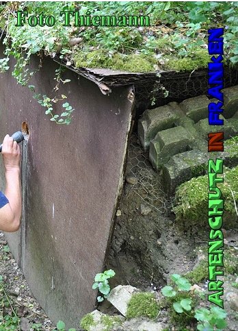 Copyright AiS Rolf Thiemann Bild zum Eintrag (52606-160)