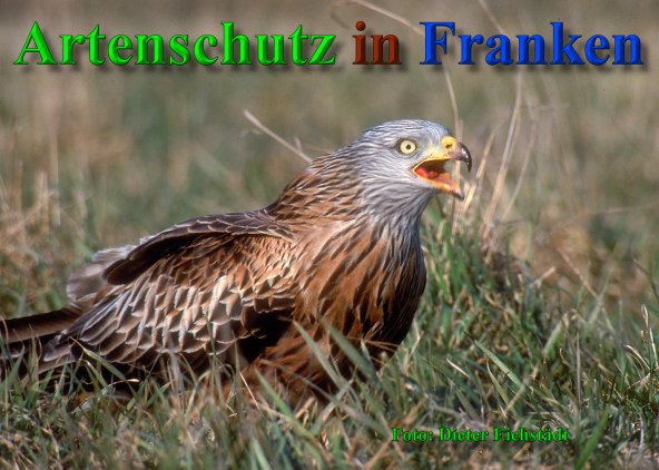 Copyright AiS Dieter Eichstädt Bild zum Eintrag (53416-160)