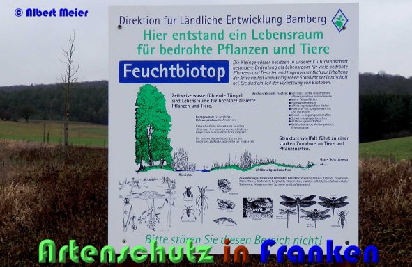 Copyright AiS Albert Meier Bild zum Eintrag (53578-160)